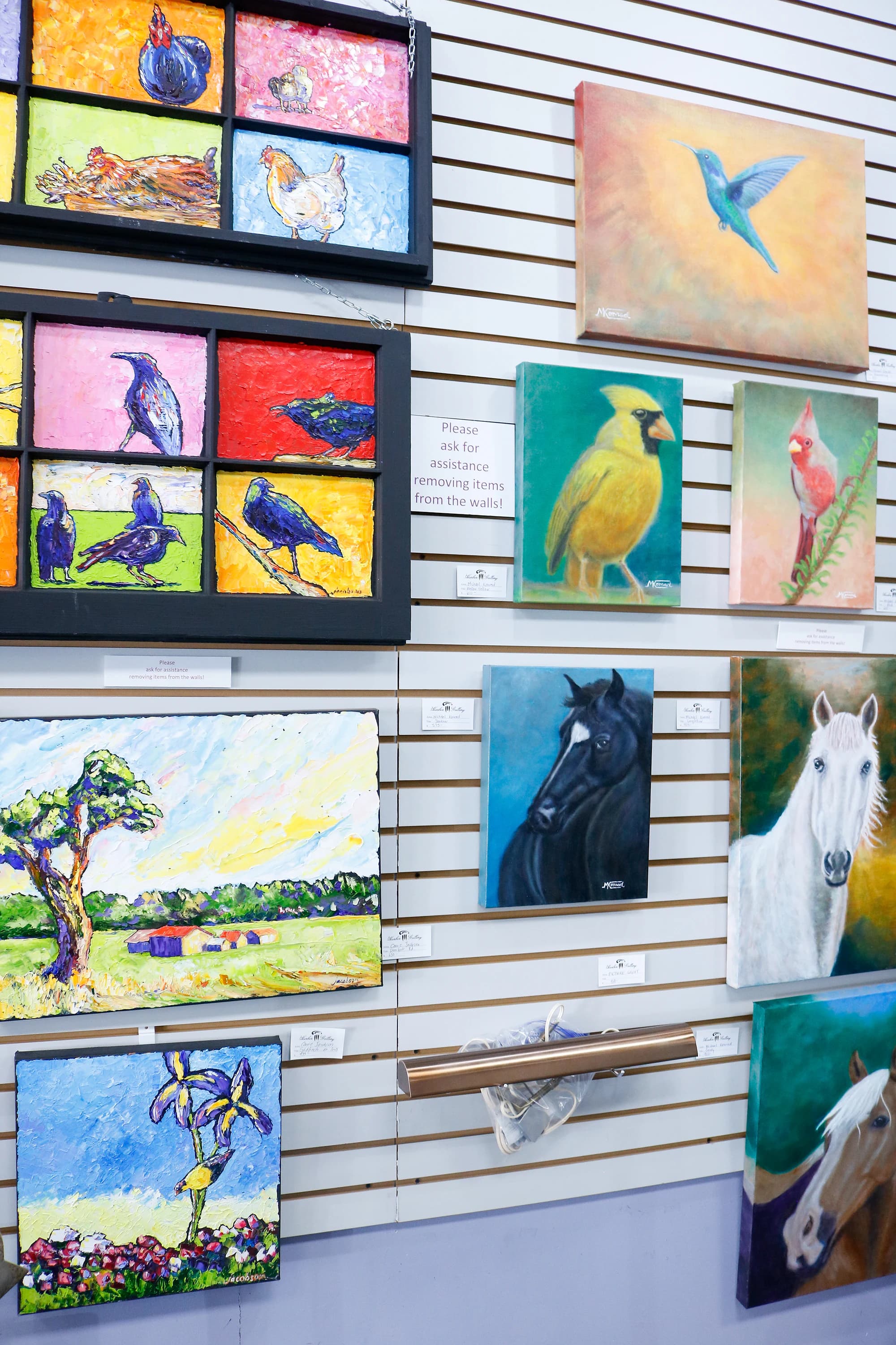Original bird and wildlife paintings on display at Harbor Gallery